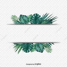 Green Tropical Plant Palm Leaf Border Border Clipart Palm Leaf Botany Png Transparent Clipart Image And Psd File For Free Download Palm Background Leaf Border Leaves Vector