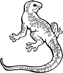Lizard Great Monitor Lizard Coloring Pages In 2020 Monitor Lizard Coloring Pages Online Coloring Pages