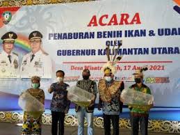Perencanaan teknis pembangunan plat deker, drainase dan jalan lingkungan tersebar di kabupaten sorong spse 4.4 pengadaan langsung. Berita Dinas Komunikasi Informatika Statistik Dan Persandian