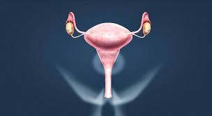 We did not find results for: Aparato Reproductor Femenino Intermedio Escena En 3d Educacion Digital Y Aprendizaje Mozaik