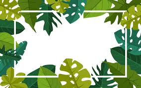 Watercolor hand drawn forest frame template with blackberry, leaves, fern. Rectangle Leaf Border Illustration Templatemonster