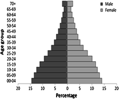 Populationpyramid.net population pyramids of the world from 1950 to 2100. Malaysia S Ageing Population Trends Springerlink