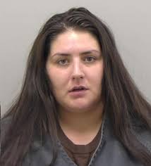 2 arrested after Colorado elementary school theft from car with 9-year-old  inside