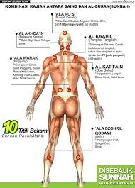 Hijama Sunnah Points Chart Www Bedowntowndaytona Com