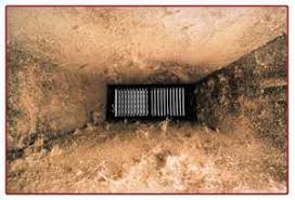 Maybe you would like to learn more about one of these? Air Duct Cleaning Sci Tech Carpet Cleaning