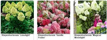 Garten hochbeete source by bibimoeller related posts: á… Bakker Gutschein 24 Gutscheincodes Juli 2021