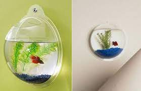 We did not find results for: 13 Fish Bowl And Aquarium Design For Fish Lover Design Swan