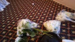 Image result for tbn:0DAOHh2-xx0FjM::www.3roos.com/postsimages/d60e3afe16044b303e40d5e60727bae6.jpg