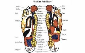 Educational Health Charts The Natural Nook Healing