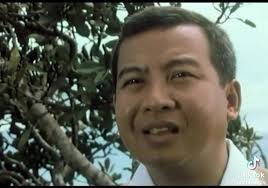 មីង សុីណាត