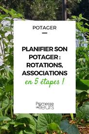 Planifier Son Potager Rotations Et Associations En 5 Etapes Potager Jardin Potager Jardinage Potager