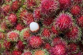 Check spelling or type a new query. Rambutan Vs Lychee Explaining The Difference Between 2 Exotic Fruits
