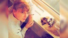 59 Taylor & cats ideas