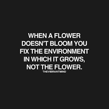 When A Flower Doesn T Bloom You Fix The Environment In Which It Grows Not The Flower Quotes Deep Meaningful Life Quotes Quotable Quotes