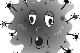 Es sich oft am po kratzt. Parasiten Die Ungebetenen Mitbewohner Im Korper