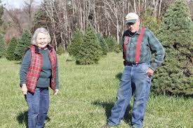 Maybe you would like to learn more about one of these? Christmas Tree Farms Prepare For Holidays Amid Covid Crisis News Dailyprogress Com