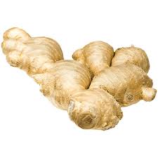 It is a herbaceous perennial which grows annual pseudostems (false stems made of the rolled bases of leaves) about one meter tall bearing narrow leaf blades. Ingwer Bei Rewe Online Bestellen Rewe De