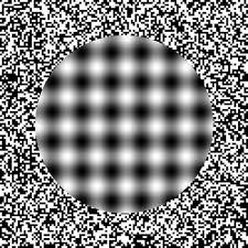 Optical Illusion The Image Appears To Wiggle Cool Optical Illusions Illusions Illusion Pictures