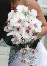 La soluzione di un bouquet di fiori bianchi per il giorno delle proprie nozze ha un valore simbolico ben più profondo di quanto si possa immaginare. Foto Bouquet Sposa Di Orchidee Pagina 2 Lemienozze It