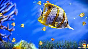 Follow the vibe and change your wallpaper every day! Best Free Hd Wallpaper Windows 7 Animated Screensavers Wallpaper