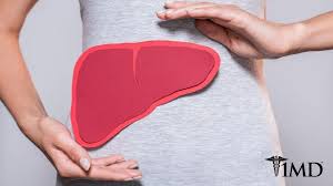 What to Know About Liver Disease: Symptoms, Causes, and Treatments | 1MD  Nutrition
