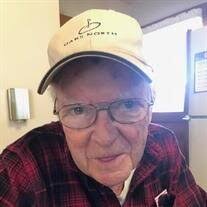 Albert G. Lupori Obituary