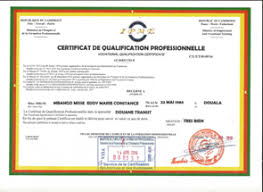 Elle s'adresse aux personnels des établissements de santé, avec deux niveaux (afgsu 1 et 2) et une spécialisation. Diplome