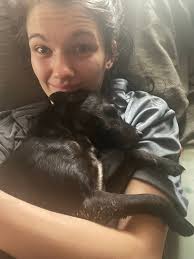 Lost rat terrier mix named Pepper in Pinecrest area