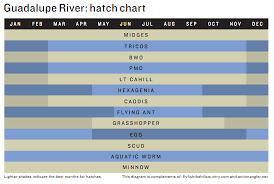 Master The Guadalupe River With Action Angler Guide Services