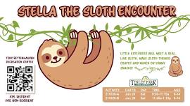 Stella the Sloth Encounter