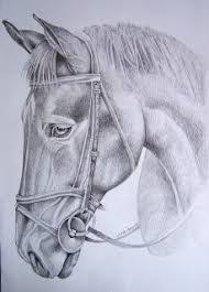 Risultato Immagini Per Disegni A Matita Cavalli Disegni A Matita Cavalli Disegni
