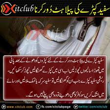 Pin On Tips In Urdu