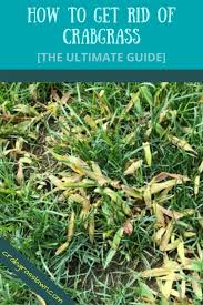 Pin On Lawn Care