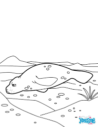 coloriage d un lamentin ce gentil monstre des oceans manque de couleurs pour etre heureux beau f animaux marins livre dinosaure ebay