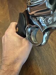 Image result for Medium Buckskin 1989 Colt