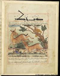 Bestiary Medieval Renaissance Manuscripts Online The Morgan Library Museum Medieval Art Bestiary Literature Art