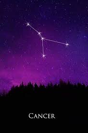 Aries, taurus, gemini, cancer, leo, virgo, libra, scorpio. Cancer Constellation Night Sky Astrology Symbol Zodiac Horoscope Journal Notebook Diary Blank Book Astrology Zodiac Signs Horoscope Symbols Journals Notebooks Diaries Journals Distinctive 9781729585030 Amazon Com Books