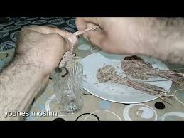 فوائد عشبة حياة النفوس عشبة سحرية Youtube
