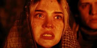 Burn Notice: 10 Things You Didn't Know About Fiona