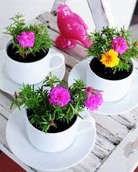 Go Make Me Tea Cup Planter Pots Diy Project Go Make Me Tea Cup Planter Succulent Centerpieces Teacup Planter
