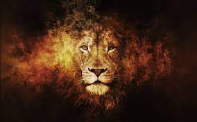 Maybe you would like to learn more about one of these? Lion Of Judah Wallpapers Top Free Lion Of Judah Backgrounds Wallpaperaccess