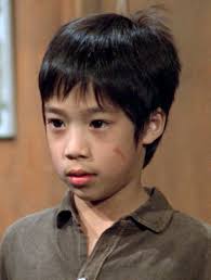 American Yakuza (1993)