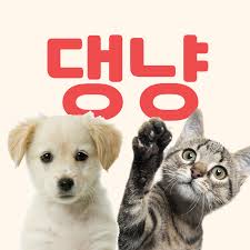 댕냥이와 친구들