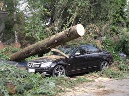 Regen oder sonne, shorts oder lieber gummistiefel? Unwetter Uber Berlin Tegel 29 06 12 Foto Bild Wetter Natur Bilder Auf Fotocommunity