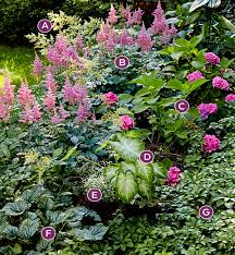 Colorful Shade Garden Combos In 2020 Shade Garden Design Hydrangea Not Blooming Shade Garden