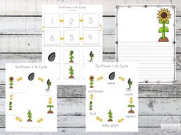 Here are some really cool and colorful lifelike free printable vegetable flashcards to teach vegetable names to your child!!! 123homeschool4me Com Wp Content Uploads 2018 02