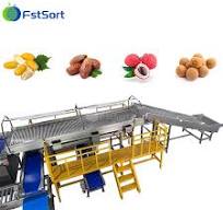 Precise Dates Grading Machine Automated Dates Sorting Equipment Small Fruit  Sorting Grading Sizing Machine Date Fruit Sorting Machine