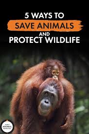 You Have The Power To Save Animals Protect Wildlife And Make A Change Learn How In 2020 World Animal Protection Save Animals Animals Wild