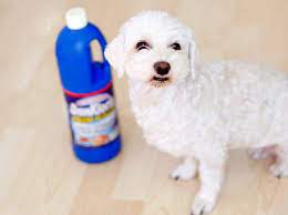 Hundeurin Und Uringestank Aus Laminat Entfernen Frag Mutti Katzenurin Urin Hunde
