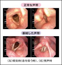 時事メディカル - 時事通信